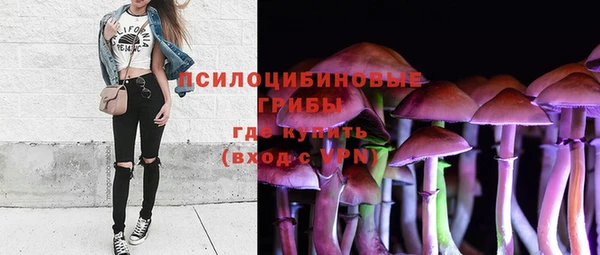 сатива Баксан