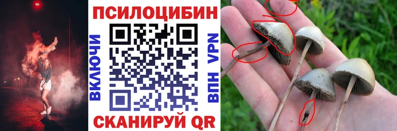 Галлюциногенные грибы мухоморы  даркнет официальный сайт  Теберда 
